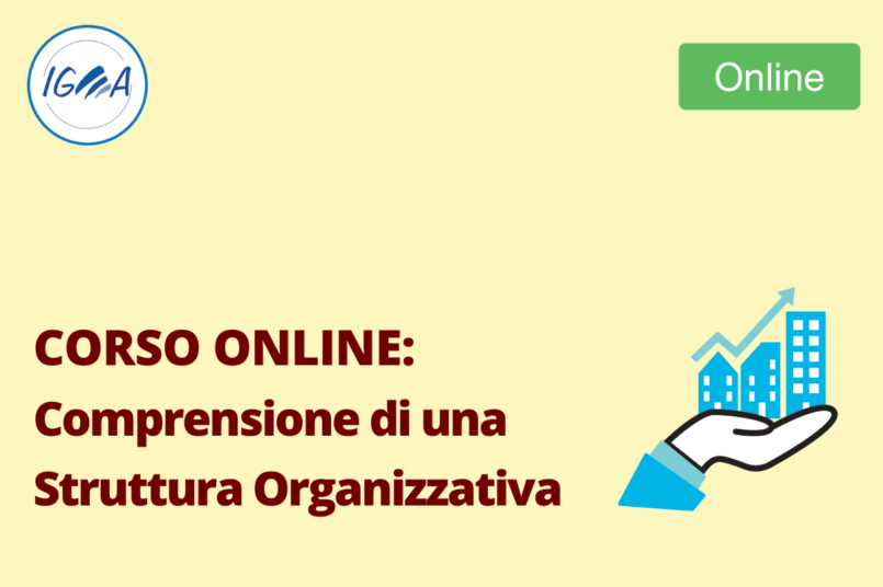 Corso Online: Comprensione di una Struttura Organizzativa